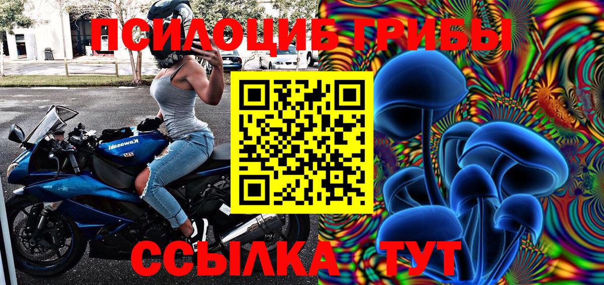 Дербент  Псилоцибиновые грибы Psilocybine cubensis  Вход с VPN 