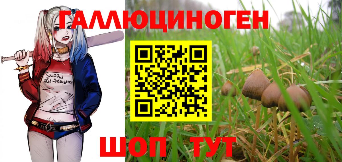 Галлюциногенные грибы ЛСД Дербент